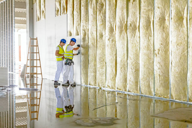Best Home Insulation Services  in Linwood, PA